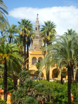 the gardens of the alcazar and the cathedral tower