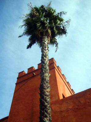 in the alcazar castle