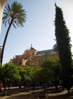 orange trees and palms in front of the mezquita-cathedral