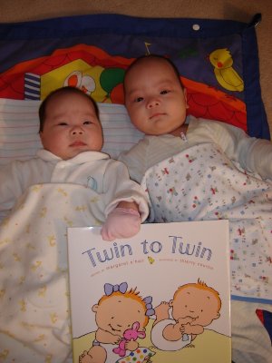 一本雙胞胎的故事書