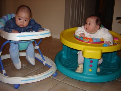 歡歡玩 Exersaucer, 聚聚坐學步機