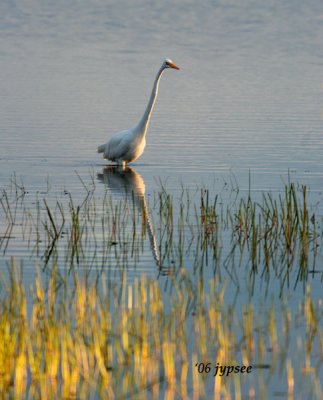 a turn in evening light