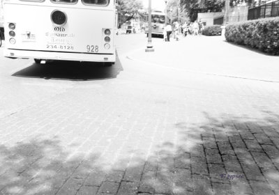 pseudo 50's savannah