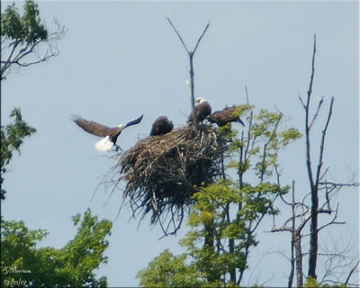 Incoming with Lunch