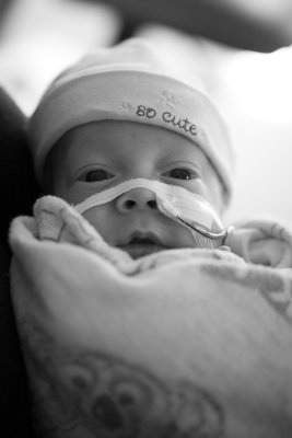 All Cuddled Up