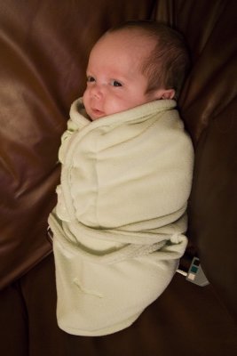 All Swaddled Up