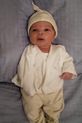 All Dressed Up For Pictures