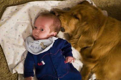 Beaux Sniffing His Buddy