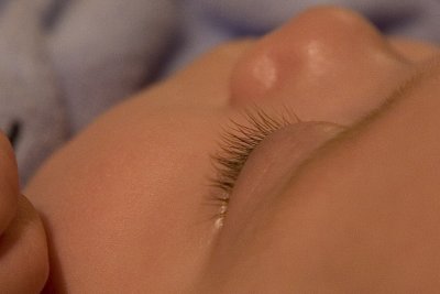 Lashes