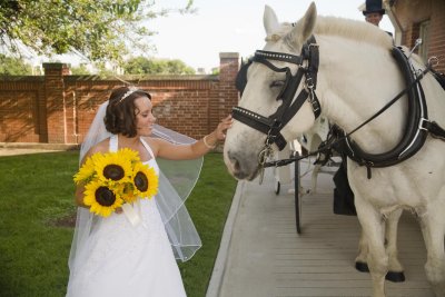 The Bride's Steed