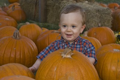 Just Another Little Punkin'