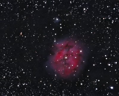 The Cocoon Nebula