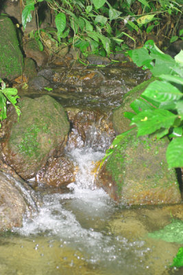 40 - a Cool Mountain Stream.jpg