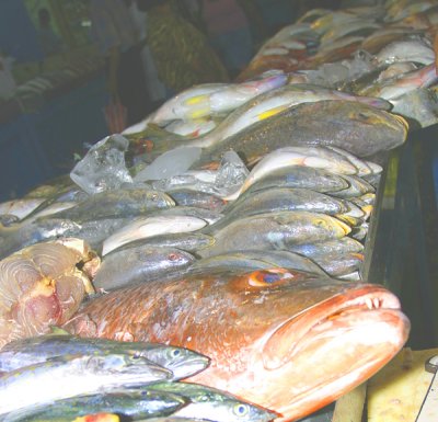 83 - Panama City Fish Market.jpg