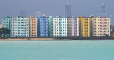 81 - Four colorful Blds on the beach.jpg