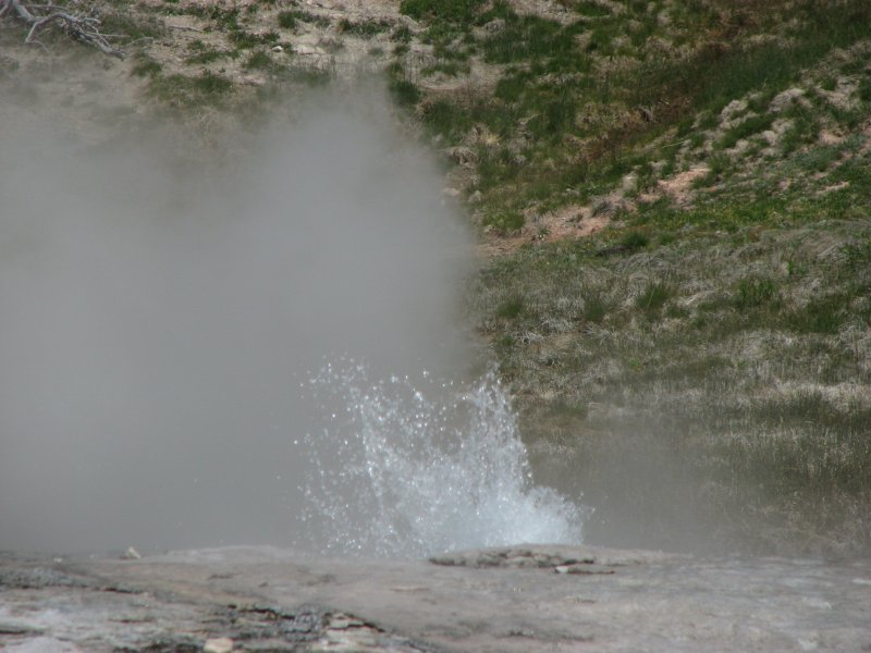 IMG_0677.JPG