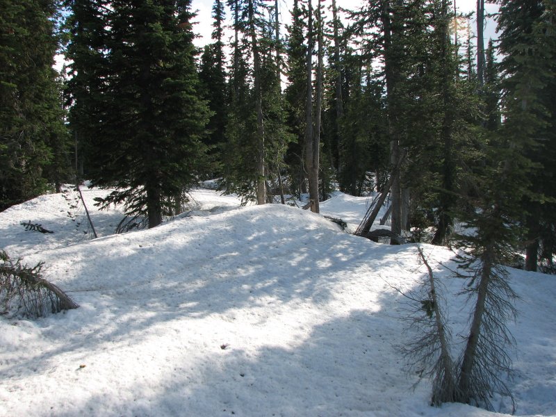 IMG_0684.JPG
