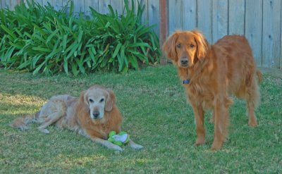 Molly and Chip