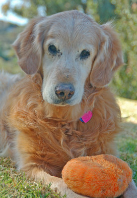 Molly Portrait