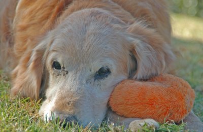 Molly with Pumpkin