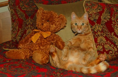 Bubba and his Friend