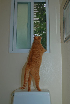 There's A Bird Out There!!