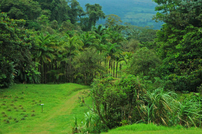 Arenal and Monteverde