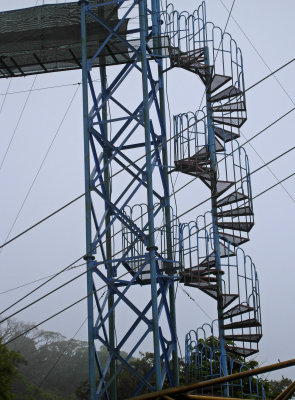 Staircase to start of Hanging Bridges Walk