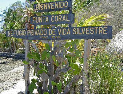 Punta Coral Sign