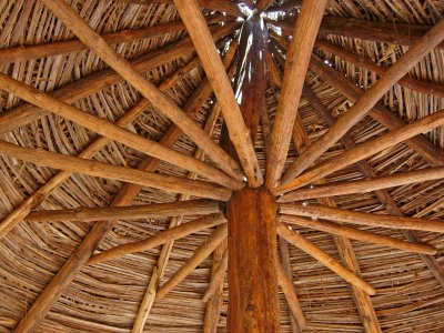 Thatched Roof
