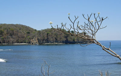 Punta Coral