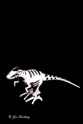 Small Roboraptor
