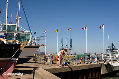 The Marina