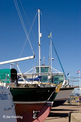 The Marina