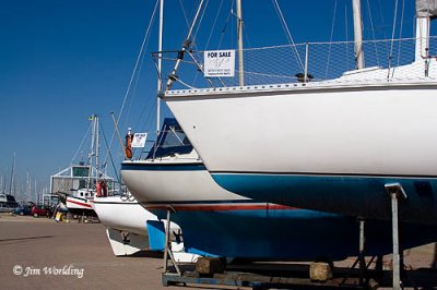 The Marina
