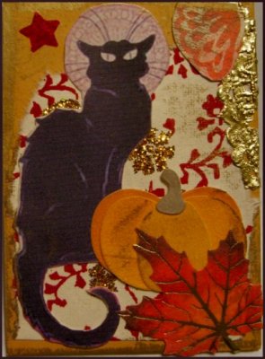 Black Cat3.jpg
