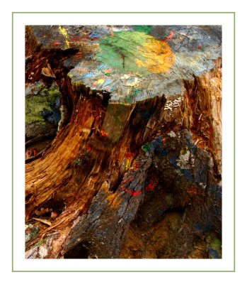 Tree Stump.jpg