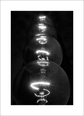 light Bulbs BW Portrait.jpg