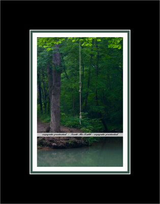 Rope Swing.jpg