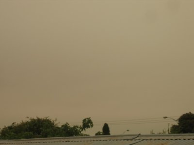 13 december A world of smog