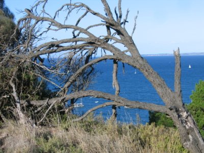 25 march view of bass strait in Flinders