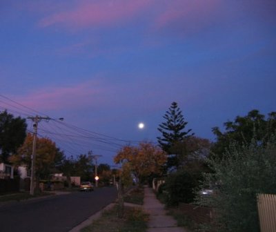 1 may full moon in gray street