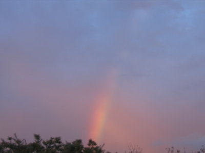7 june An early morning rainbow