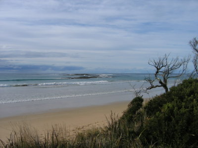 Apollo Bay west wards