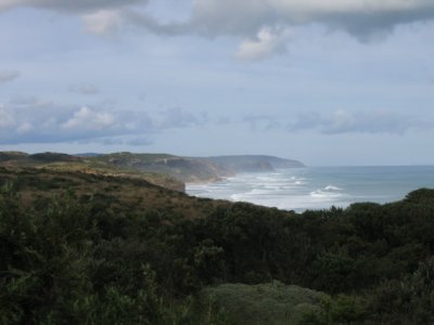 The coastline