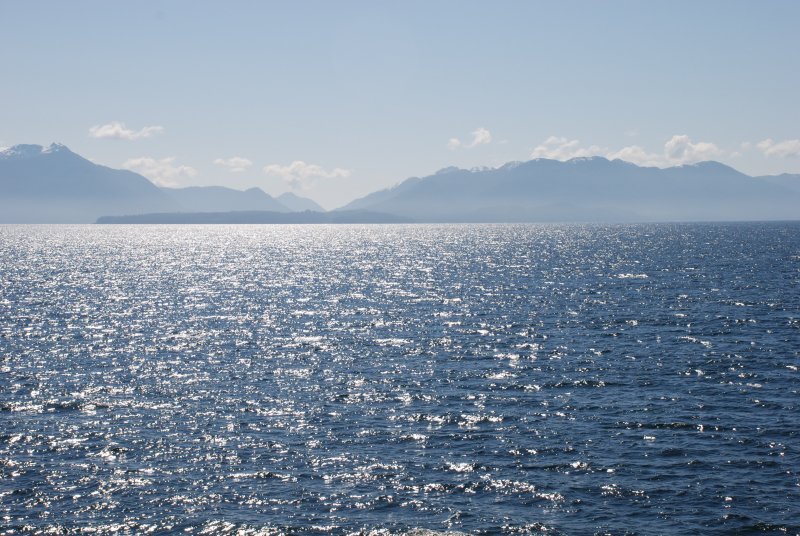 DSC_0502.JPG