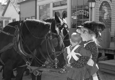 Stagecoach Horses.jpg