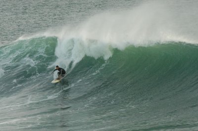 DSC_6719
