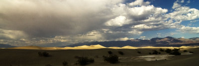 Sand dunes panoramic