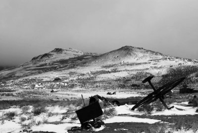 DSC_0352_bw